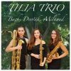 Download track Sonata VI, BWV 530: II. Lento (Arr. For Saxophone Trio)