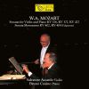 Download track Sonata For Violin And Piano F Major KV377, Var. IV: