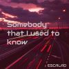 Download track Somebody That I Used To Know (Slowed Remix)