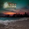 Download track Full Moon In Culebra, Puerto Rico (Original Mix)