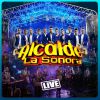 Download track No Me Llames Más (Live)