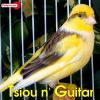 Download track Tsiou N' Guitar