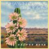 Download track Cactus Rose