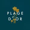 Download track Plage D'or