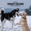 Download track Soothing Music For Dogs