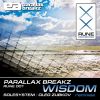 Download track Wisdom (Original Mix)