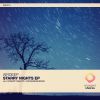 Download track Starry Nights