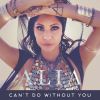 Download track Can't Do Without You (Jerome Baker Originator Tech Remix)