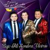 Download track Mosaico De Fiesta 3: La Chamiza / La Vuelta Del Chagra