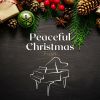 Download track Holy Noel