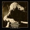 Download track Absence Of Light Surrounding