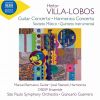 Download track Guitar Concerto, W501 I. Allegro Preciso