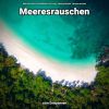 Download track Bezaubernde Wellen