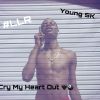 Download track CRY MY HEART OUT