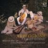 Download track Arpeggione Sonata In A Minor, D. 821- II. Adagio