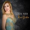 Download track İkinci Bahar