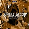 Download track Jungle Jazzin (Vee Soul Remix)