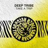 Download track Take A Trip (Original Mix)