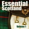 Download track Scots Wha Hae (Essential Mix)