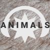 Download track Animals