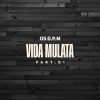 Download track Vida Mulata