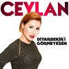 Download track Diyarbekir I Görmeyesen