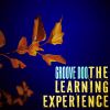 Download track The Learning Experience