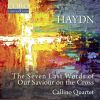 Download track The Seven Last Words Of Our Saviour On The Cross, Hob. XX: 1b | Sonata V 