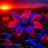 Download track Beautiful Sunrise