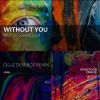 Download track Without You (Oguz Demiroz Remix)