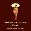 Download track Torrential Rain In The Forest