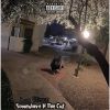 Download track Somewhere In The Cut