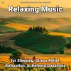 Download track Relaxing Music For Serenity