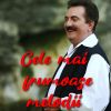 Download track Muzică Populară Românească De Petrecere