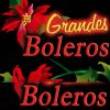 Download track LAS FLORES DE TU BALCON