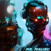 Download track Mr. Malibu