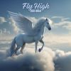 Download track Fly High (Disco Instrumental Mix)