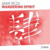 Download track Wandering Spirit (Extended Mix)