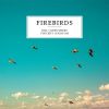 Download track Firebirds