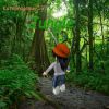 Download track Jungle (Speed Up)