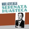 Download track Serenata Huasteca