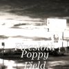 Download track Poppy Field (Radio Edit)