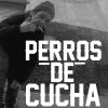 Download track Perros De Cucha