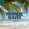 Download track Tropical Groove