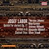 Download track Labor Piano Quintet In D Major, Op. 11 III. Quasi Fantasia. Adagio