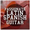 Download track Spanish Guitar