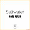 Download track Saltwater (Radio Edit)