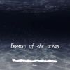 Download track Bottom Of The Ocean (Extended)