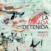 Download track La Mirada Detenida (Versión Alternativa)