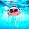 Download track The Jellyfish (Early Afternoon) (Radio Edit)